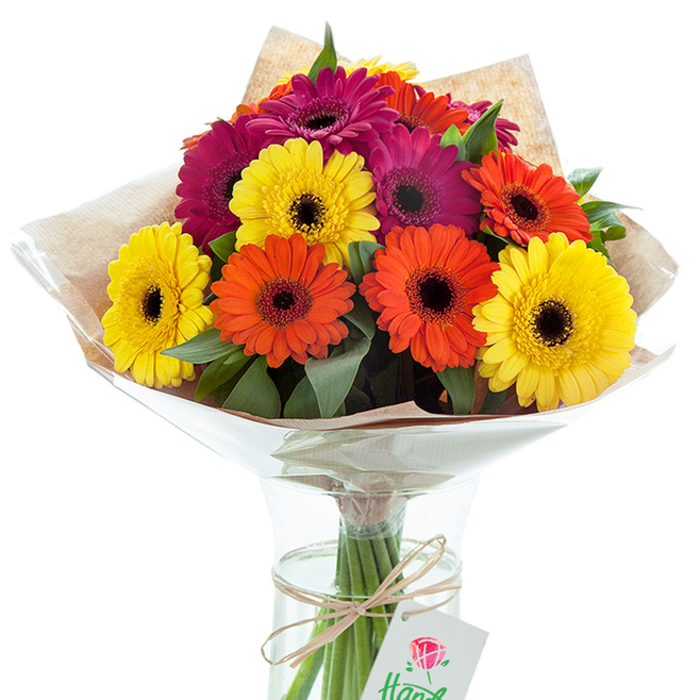 Standing gracefully against a pristine white backdrop, a lively hand-tied bouquet of Gerbera daisies bursts in a glass vase-its exuberance reminiscent of community celebrations near South Woodford's leafy Memorial Park. The composition showcases a harmonious blend of brilliant yellow, fiery orange, and sumptuous magenta blooms-a vibrant palette that echoes the seasonal energy of local street markets. Each Gerbera boasts ample, velvety petals radiating from a signature deep, dark center, their rounded forms arranged in a lush, layered fashion that creates depth and a welcoming sense of abundance. Sprigs of fresh, glossy greenery peek throughout the bouquet, adding structure and an uplifting contrast to the riot of colour. The arrangement is gently enveloped in a light brown kraft paper, subtly textured and earthy, a tactile nod to artisanal wrapping techniques beloved in East London. This is overlaid with crisp, translucent cellophane, artfully flared at the rim-evoking the careful packaging found in South Woodford's best flower shops. The vase, cool and transparent, reveals the slender stems immersed in clean water, promising freshness and vitality. A piece of baker's twine, tied with easy elegance around the stems, gives a hint of homespun charm, while a delicate tag featuring a stylised red rose motif dangles invitingly. Suggestive of joyful gifting, thoughtful celebrations, or simply adding warmth to a home near Churchfields or Wanstead, this meticulously crafted South Woodford bouquet is as much an expression of local expertise as it is of natural beauty-a floral story ready to brighten any moment or milestone.